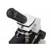 Микроскоп Levenhuk Rainbow 2L PLUS Moonstone\Лунный камень представитель Levenhuk в России
