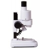 Микроскоп Levenhuk 1ST, бинокулярный представитель Levenhuk в России