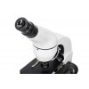 Микроскоп Levenhuk Rainbow 50L Moonstone\Лунный камень представитель Levenhuk в России