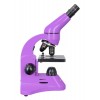 Микроскоп Levenhuk Rainbow 50L Amethyst\Аметист представитель Levenhuk в России