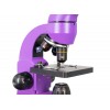 Микроскоп Levenhuk Rainbow 50L Amethyst\Аметист представитель Levenhuk в России