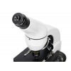 Микроскоп Levenhuk Rainbow 50L PLUS Moonstone\Лунный камень представитель Levenhuk в России