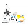 Микроскоп Levenhuk Rainbow D50L PLUS, 2 Мпикс, Moonstone\Лунный камень представитель Levenhuk в России