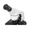 Микроскоп Levenhuk Rainbow D50L PLUS, 2 Мпикс, Moonstone\Лунный камень представитель Levenhuk в России