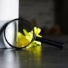 Лупа ручная Levenhuk Zeno Handy ZH5 представитель Levenhuk в России