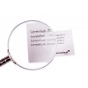 Лупа ручная Levenhuk Zeno Handy ZH23 представитель Levenhuk в России