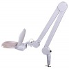 Лупа-лампа Levenhuk Zeno Lamp ZL19 LED представитель Levenhuk в России