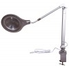 Лупа-лампа Levenhuk Zeno Lamp ZL27 LED представитель Levenhuk в России