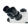 Микроскоп Levenhuk ZOOM 1T, тринокулярный представитель Levenhuk в России