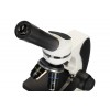 Микроскоп Discovery Pico Polar с книгой представитель Levenhuk в России