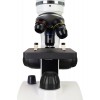 Микроскоп Discovery Pico Polar с книгой представитель Levenhuk в России