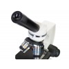 Микроскоп Discovery Femto Polar с книгой представитель Levenhuk в России
