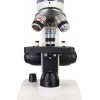 Микроскоп Discovery Femto Polar с книгой представитель Levenhuk в России