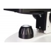 Микроскоп Discovery Femto Polar с книгой представитель Levenhuk в России