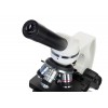 Микроскоп Discovery Atto Polar с книгой представитель Levenhuk в России
