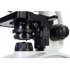 Микроскоп Discovery Atto Polar с книгой представитель Levenhuk в России