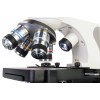Микроскоп Discovery Atto Polar с книгой представитель Levenhuk в России