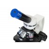 Микроскоп цифровой Discovery Atto Polar с книгой представитель Levenhuk в России