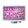Микроскоп цифровой Levenhuk D85L LCD, монокулярный представитель Levenhuk в России