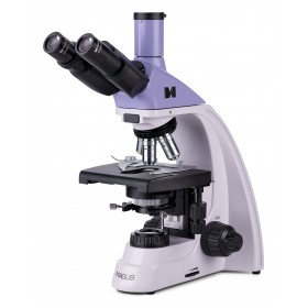 Микроскоп биологический MAGUS Bio 250T представитель Levenhuk в России