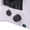 Микроскоп люминесцентный инвертированный MAGUS Lum V500 представитель Levenhuk в России