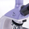 Микроскоп биологический цифровой MAGUS Bio D250TL представитель Levenhuk в России