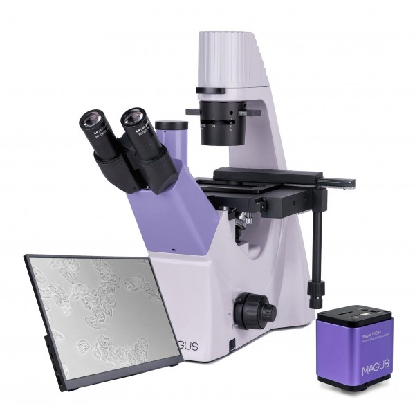Микроскоп биологический инвертированный цифровой MAGUS Bio VD300 LCD представитель Levenhuk в России