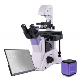 Микроскоп биологический инвертированный цифровой MAGUS Bio VD350 LCD представитель Levenhuk в России