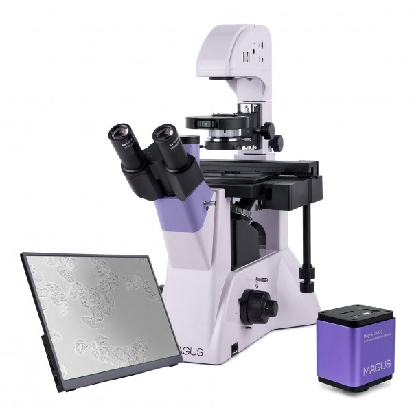 Микроскоп биологический инвертированный цифровой MAGUS Bio VD350 LCD представитель Levenhuk в России