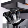 Микроскоп люминесцентный инвертированный цифровой MAGUS Lum VD500 представитель Levenhuk в России