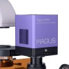 Микроскоп люминесцентный инвертированный цифровой MAGUS Lum VD500 представитель Levenhuk в России