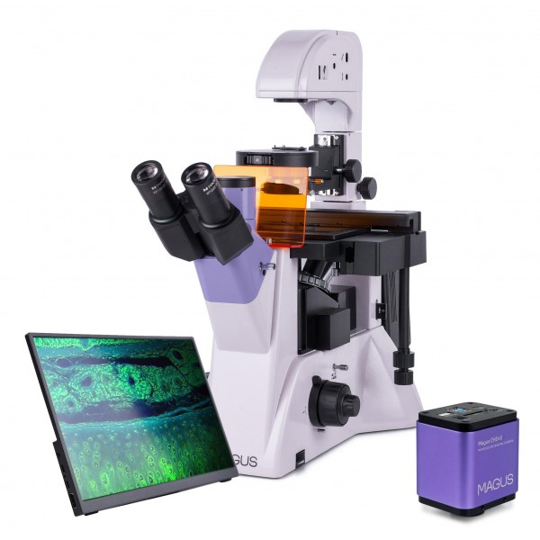 Микроскоп люминесцентный инвертированный цифровой MAGUS Lum VD500 LCD представитель Levenhuk в России