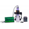 Микроскоп люминесцентный инвертированный цифровой MAGUS Lum VD500 LCD представитель Levenhuk в России