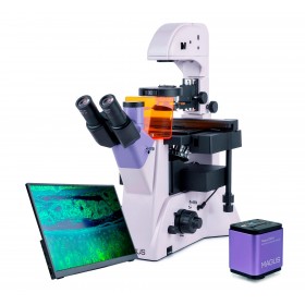 Микроскоп люминесцентный инвертированный цифровой MAGUS Lum VD500L LCD представитель Levenhuk в России