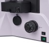 Микроскоп люминесцентный инвертированный цифровой MAGUS Lum VD500L LCD представитель Levenhuk в России