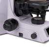 Микроскоп биологический цифровой MAGUS Bio DH260 представитель Levenhuk в России