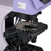 Микроскоп биологический MAGUS Bio 290T представитель Levenhuk в России