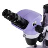 Микроскоп стереоскопический MAGUS Stereo 7B представитель Levenhuk в России