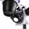 Микроскоп стереоскопический MAGUS Stereo 8B представитель Levenhuk в России