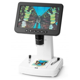 Микроскоп цифровой Levenhuk DTX 800 LCD представитель Levenhuk в России