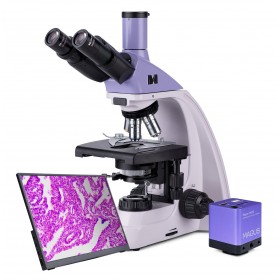 Микроскоп биологический цифровой MAGUS Bio D250T LCD представитель Levenhuk в России
