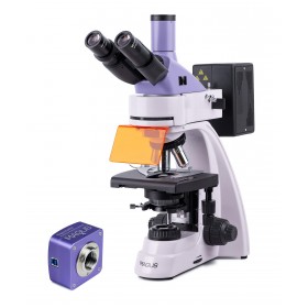 Микроскоп люминесцентный цифровой MAGUS Lum D400 представитель Levenhuk в России