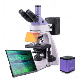 Микроскоп люминесцентный цифровой MAGUS Lum D400 LCD представитель Levenhuk в России