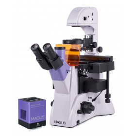 Микроскоп люминесцентный инвертированный цифровой MAGUS Lum VD500L представитель Levenhuk в России