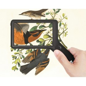 Лупа цифровая Levenhuk ERGO 40 PRO