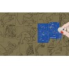 Карта звездного неба, со стираемым слоем, настенная представитель Levenhuk в России